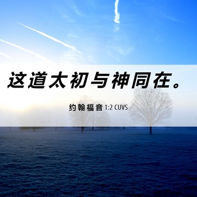Picture 06 - 约 翰 福 音 1:2 CUVS - 这 道 太 初 与 神 同 在 - Bible Verse Picture