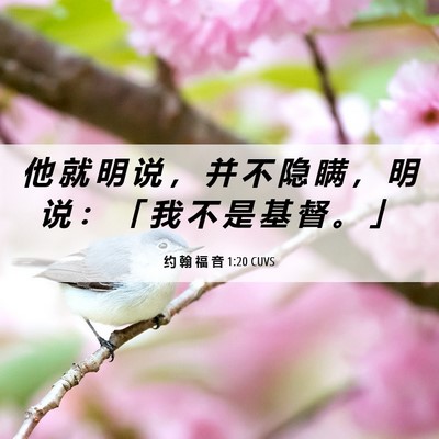 Picture 06 - 约 翰 福 音 1:20 CUVS - 他 就 明 说 ， 并 不 隐 瞒 ， 明 说 - Bible Verse Picture
