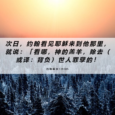 Picture 06 - 约 翰 福 音 1:29 CUVS - 次 日 ， 约 翰 看 见 耶 稣 来 到 他 - Bible Verse Picture