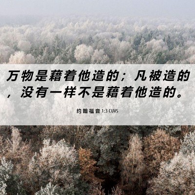Picture 06 - 约 翰 福 音 1:3 CUVS - 万 物 是 藉 着 他 造 的 ； 凡 被 造 - Bible Verse Picture