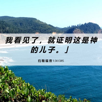 Picture 06 - 约 翰 福 音 1:34 CUVS - 我 看 见 了 ， 就 证 明 这 是 神 的 - Bible Verse Picture
