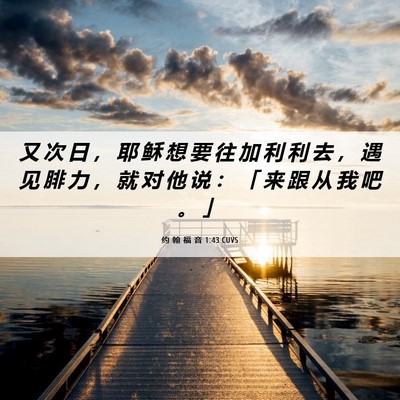 Picture 06 - 约 翰 福 音 1:43 CUVS - 又 次 日 ， 耶 稣 想 要 往 加 利 利 - Bible Verse Picture