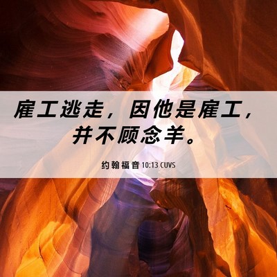 Picture 06 - 约 翰 福 音 10:13 CUVS - 雇 工 逃 走 ， 因 他 是 雇 工 ， 并 - Bible Verse Picture