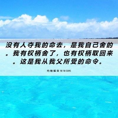 Picture 06 - 约 翰 福 音 10:18 CUVS - 没 有 人 夺 我 的 命 去 ， 是 我 自 - Bible Verse Picture