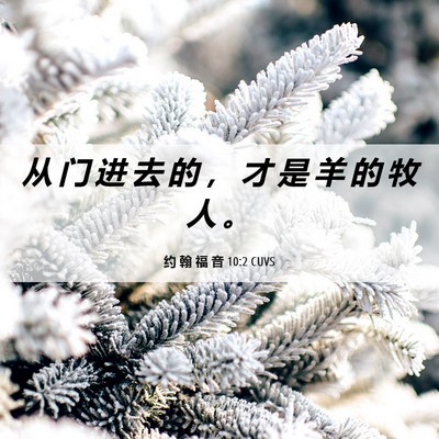 Picture 06 - 约 翰 福 音 10:2 CUVS - 从 门 进 去 的 ， 才 是 羊 的 牧 人 - Bible Verse Picture