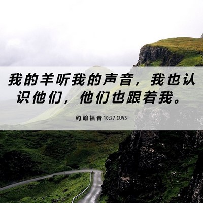 Picture 06 - 约 翰 福 音 10:27 CUVS - 我 的 羊 听 我 的 声 音 ， 我 也 认 - Bible Verse Picture