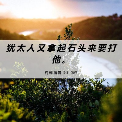 Picture 06 - 约 翰 福 音 10:31 CUVS - 犹 太 人 又 拿 起 石 头 来 要 打 他 - Bible Verse Picture