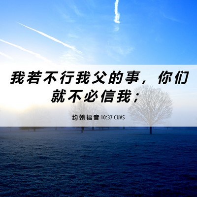 Picture 06 - 约 翰 福 音 10:37 CUVS - 我 若 不 行 我 父 的 事 ， 你 们 就 - Bible Verse Picture