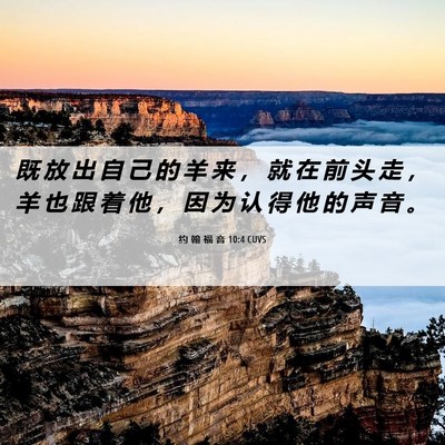 Picture 06 - 约 翰 福 音 10:4 CUVS - 既 放 出 自 己 的 羊 来 ， 就 在 前 - Bible Verse Picture