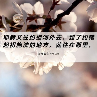 Picture 06 - 约 翰 福 音 10:40 CUVS - 耶 稣 又 往 约 但 河 外 去 ， 到 了 - Bible Verse Picture