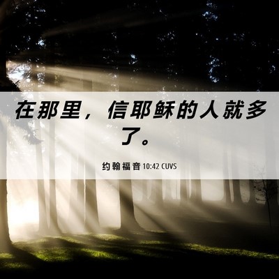 Picture 06 - 约 翰 福 音 10:42 CUVS - 在 那 里 ， 信 耶 稣 的 人 就 多 了 - Bible Verse Picture