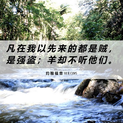 Picture 06 - 约 翰 福 音 10:8 CUVS - 凡 在 我 以 先 来 的 都 是 贼 ， 是 - Bible Verse Picture