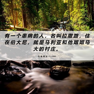 Picture 06 - 约 翰 福 音 11:1 CUVS - 有 一 个 患 病 的 人 ， 名 叫 拉 撒 - Bible Verse Picture