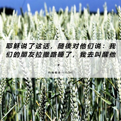 Picture 06 - 约 翰 福 音 11:11 CUVS - 耶 稣 说 了 这 话 ， 随 後 对 他 们 - Bible Verse Picture