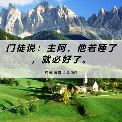 Picture 06 - 约 翰 福 音 11:12 CUVS - 门 徒 说 ： 主 阿 ， 他 若 睡 了 ， - Bible Verse Picture