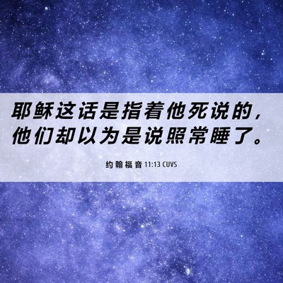 Picture 06 - 约 翰 福 音 11:13 CUVS - 耶 稣 这 话 是 指 着 他 死 说 的 ， - Bible Verse Picture