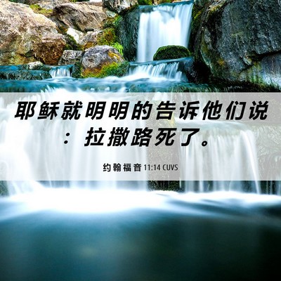 Picture 06 - 约 翰 福 音 11:14 CUVS - 耶 稣 就 明 明 的 告 诉 他 们 说 ： - Bible Verse Picture