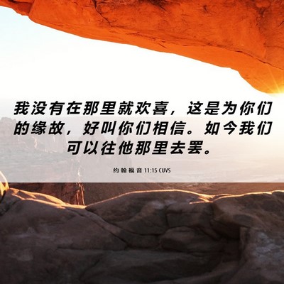 Picture 06 - 约 翰 福 音 11:15 CUVS - 我 没 有 在 那 里 就 欢 喜 ， 这 是 - Bible Verse Picture