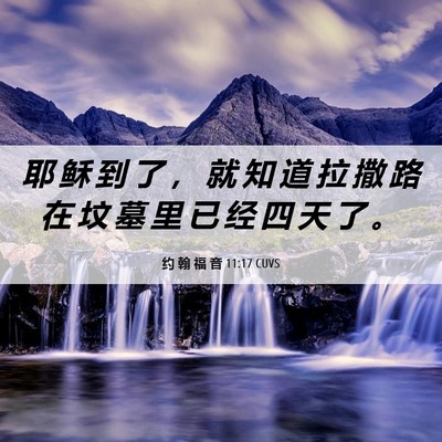 Picture 06 - 约 翰 福 音 11:17 CUVS - 耶 稣 到 了 ， 就 知 道 拉 撒 路 在 - Bible Verse Picture