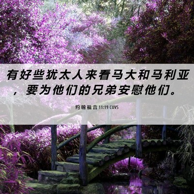 Picture 06 - 约 翰 福 音 11:19 CUVS - 有 好 些 犹 太 人 来 看 马 大 和 马 - Bible Verse Picture