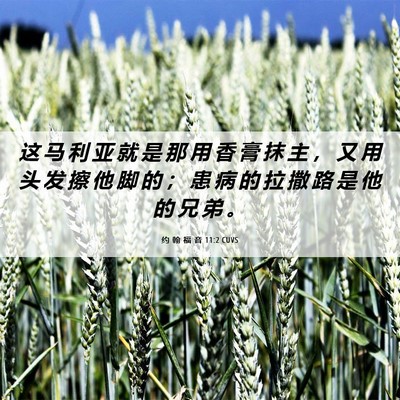 Picture 06 - 约 翰 福 音 11:2 CUVS - 这 马 利 亚 就 是 那 用 香 膏 抹 主 - Bible Verse Picture