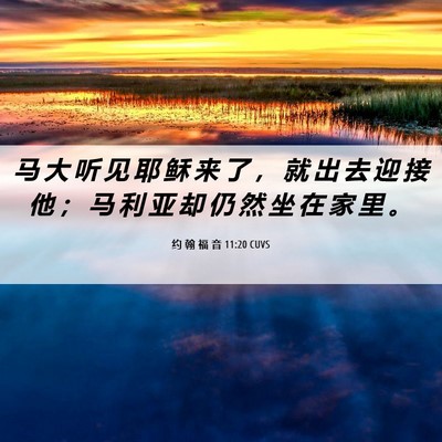Picture 06 - 约 翰 福 音 11:20 CUVS - 马 大 听 见 耶 稣 来 了 ， 就 出 去 - Bible Verse Picture