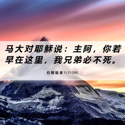 Picture 06 - 约 翰 福 音 11:21 CUVS - 马 大 对 耶 稣 说 ： 主 阿 ， 你 若 - Bible Verse Picture