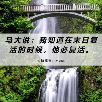 Picture 06 - 约 翰 福 音 11:24 CUVS - 马 大 说 ： 我 知 道 在 末 日 复 活 - Bible Verse Picture