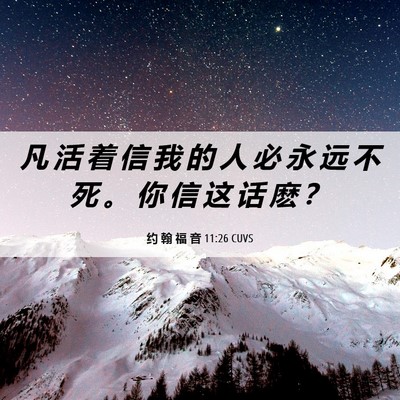 Picture 06 - 约 翰 福 音 11:26 CUVS - 凡 活 着 信 我 的 人 必 永 远 不 死 - Bible Verse Picture