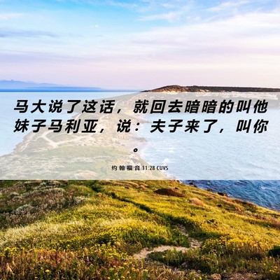 Picture 06 - 约 翰 福 音 11:28 CUVS - 马 大 说 了 这 话 ， 就 回 去 暗 暗 - Bible Verse Picture