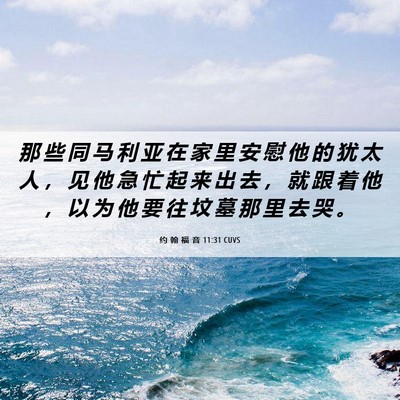 Picture 06 - 约 翰 福 音 11:31 CUVS - 那 些 同 马 利 亚 在 家 里 安 慰 他 - Bible Verse Picture