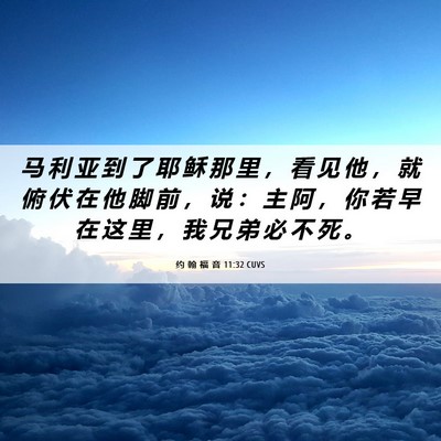 Picture 06 - 约 翰 福 音 11:32 CUVS - 马 利 亚 到 了 耶 稣 那 里 ， 看 见 - Bible Verse Picture