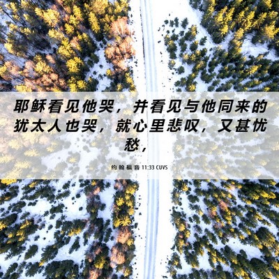 Picture 06 - 约 翰 福 音 11:33 CUVS - 耶 稣 看 见 他 哭 ， 并 看 见 与 他 - Bible Verse Picture