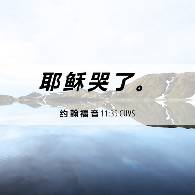 Picture 06 - 约 翰 福 音 11:35 CUVS - 耶 稣 哭 了 - Bible Verse Picture