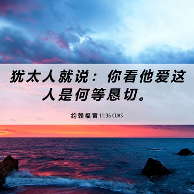 Picture 06 - 约 翰 福 音 11:36 CUVS - 犹 太 人 就 说 ： 你 看 他 爱 这 人 - Bible Verse Picture