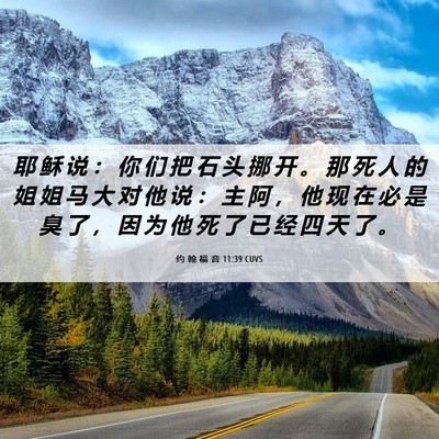 Picture 06 - 约 翰 福 音 11:39 CUVS - 耶 稣 说 ： 你 们 把 石 头 挪 开 。 - Bible Verse Picture