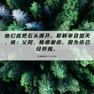 Picture 06 - 约 翰 福 音 11:41 CUVS - 他 们 就 把 石 头 挪 开 。 耶 稣 举 - Bible Verse Picture