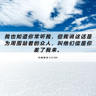 Picture 06 - 约 翰 福 音 11:42 CUVS - 我 也 知 道 你 常 听 我 ， 但 我 说 - Bible Verse Picture