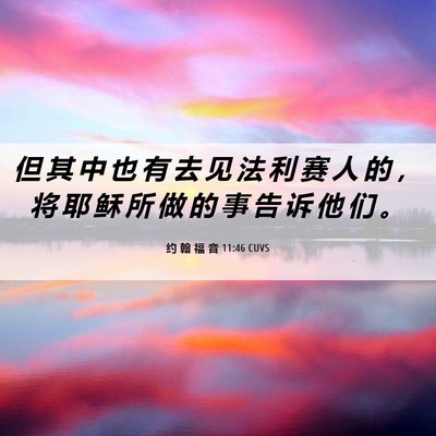 Picture 06 - 约 翰 福 音 11:46 CUVS - 但 其 中 也 有 去 见 法 利 赛 人 的 - Bible Verse Picture