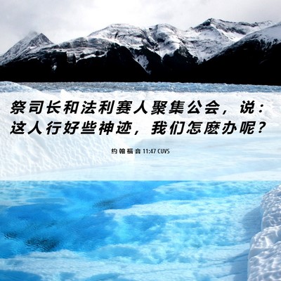Picture 06 - 约 翰 福 音 11:47 CUVS - 祭 司 长 和 法 利 赛 人 聚 集 公 会 - Bible Verse Picture