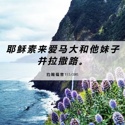 Picture 06 - 约 翰 福 音 11:5 CUVS - 耶 稣 素 来 爱 马 大 和 他 妹 子 并 - Bible Verse Picture