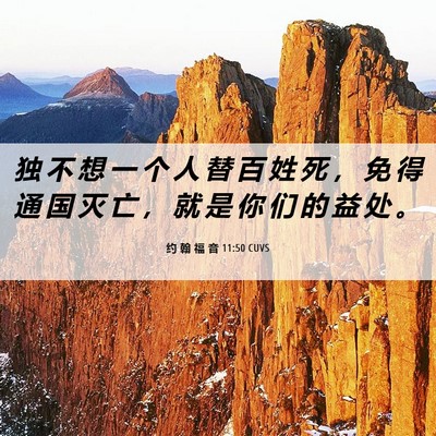 Picture 06 - 约 翰 福 音 11:50 CUVS - 独 不 想 一 个 人 替 百 姓 死 ， 免 - Bible Verse Picture