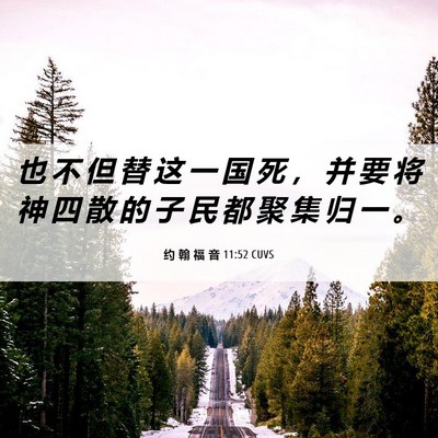 Picture 06 - 约 翰 福 音 11:52 CUVS - 也 不 但 替 这 一 国 死 ， 并 要 将 - Bible Verse Picture