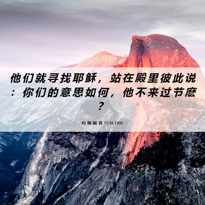 Picture 06 - 约 翰 福 音 11:56 CUVS - 他 们 就 寻 找 耶 稣 ， 站 在 殿 里 - Bible Verse Picture