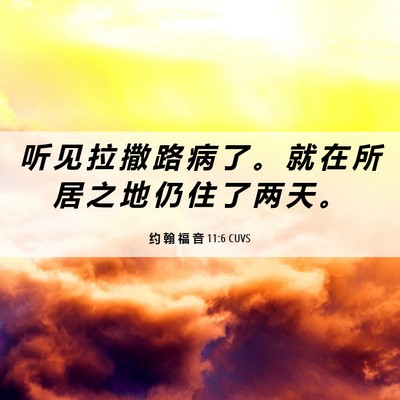 Picture 06 - 约 翰 福 音 11:6 CUVS - 听 见 拉 撒 路 病 了 。 就 在 所 居 - Bible Verse Picture