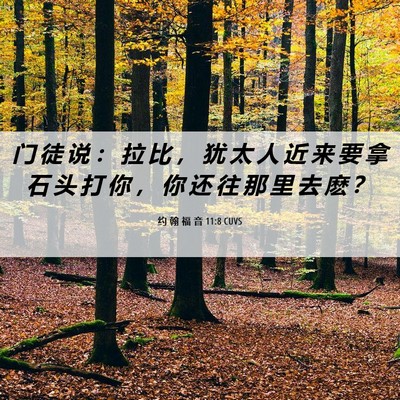 Picture 06 - 约 翰 福 音 11:8 CUVS - 门 徒 说 ： 拉 比 ， 犹 太 人 近 来 - Bible Verse Picture