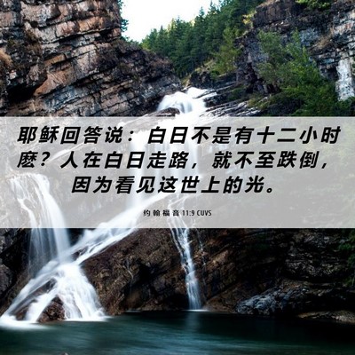 Picture 06 - 约 翰 福 音 11:9 CUVS - 耶 稣 回 答 说 ： 白 日 不 是 有 十 - Bible Verse Picture