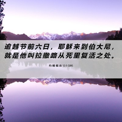 Picture 06 - 约 翰 福 音 12:1 CUVS - 逾 越 节 前 六 日 ， 耶 稣 来 到 伯 - Bible Verse Picture