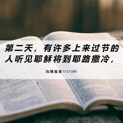 Picture 06 - 约 翰 福 音 12:12 CUVS - 第 二 天 ， 有 许 多 上 来 过 节 的 - Bible Verse Picture