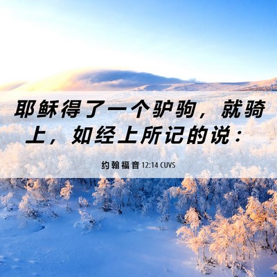 Picture 06 - 约 翰 福 音 12:14 CUVS - 耶 稣 得 了 一 个 驴 驹 ， 就 骑 上 - Bible Verse Picture